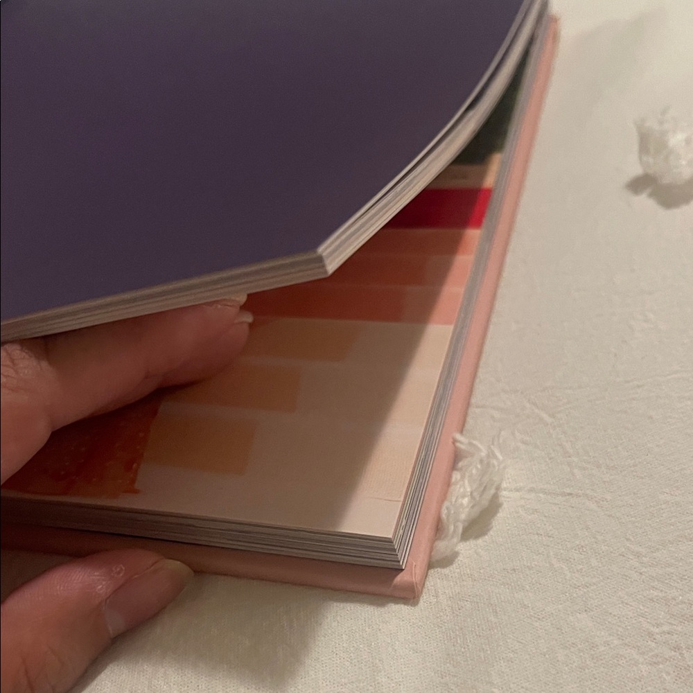 Beyoncé and the Clothes She Wears Book - Pink and Gray - Picture 6 of 9